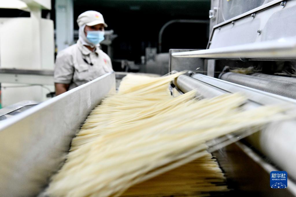 果敢腾龙网站可信吗?